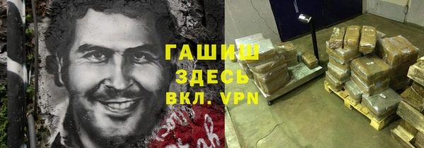 сатива Беломорск
