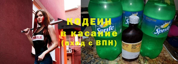 сатива Беломорск